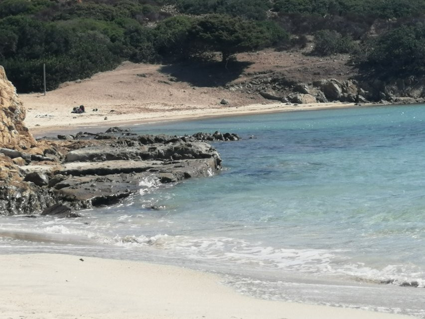 Cala dei Ponzesi-Asinara必去景点