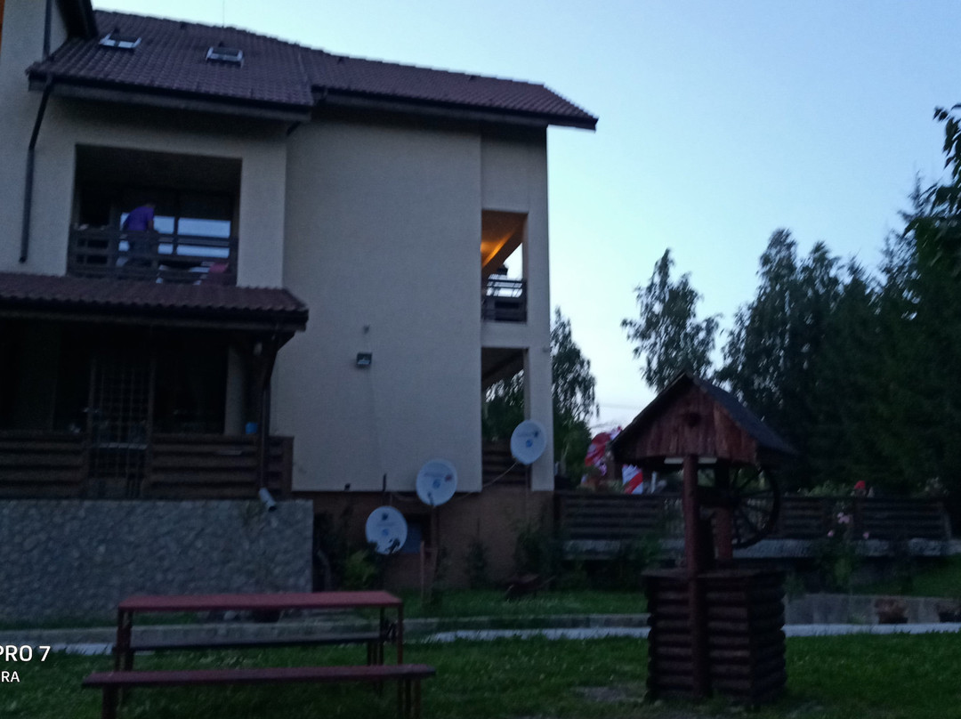Pensiunea Aurora主图