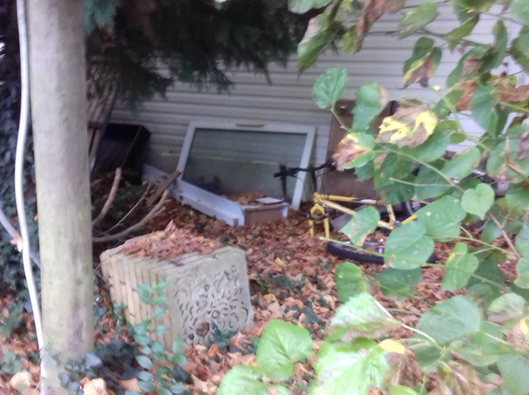 Lanne旅游攻略图片