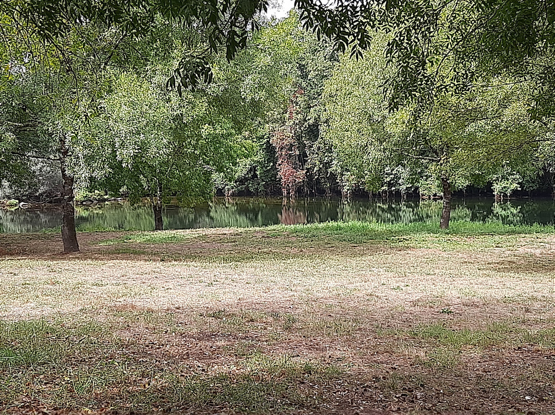 Parque Do Choupal Do Largo De Côrro景点图片