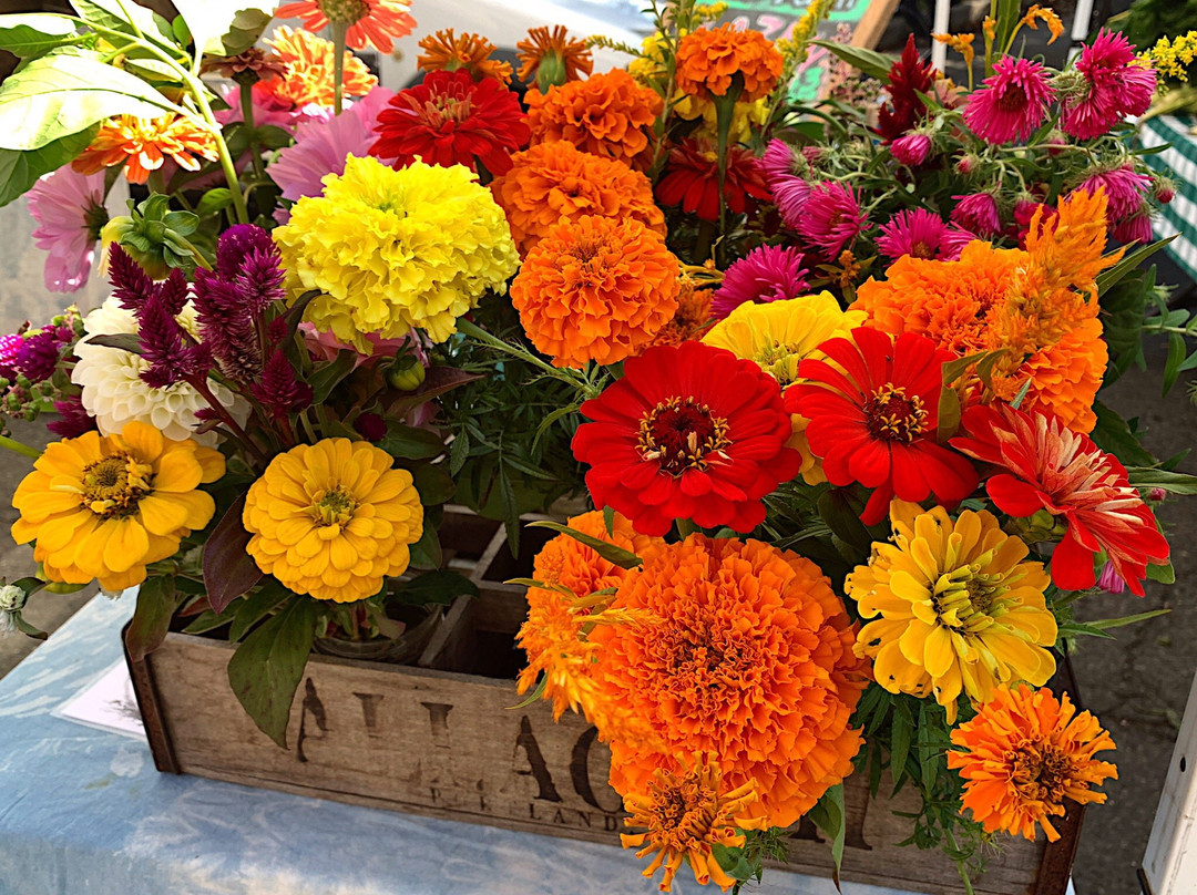 Greenfield Farmers Market-格林菲尔德必去景点