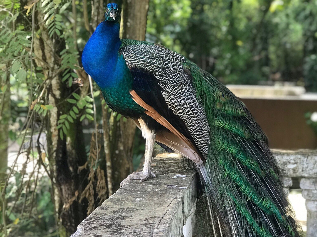 Parque Zoobotânico Arruda Câmara-Joao Pessoa必去景点