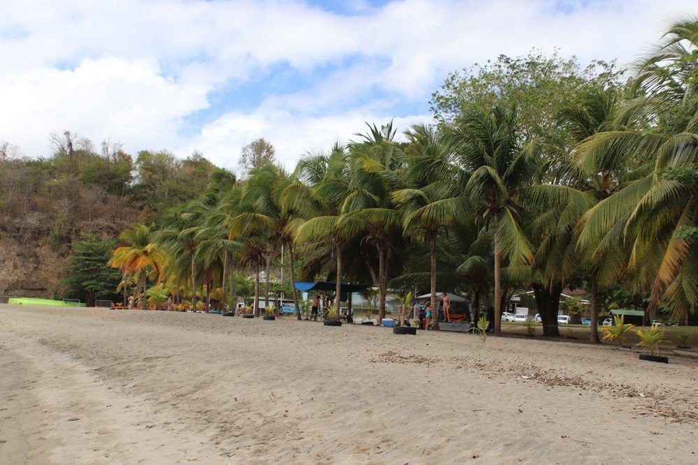 Plage de Madiana-Schoelcher必去景点