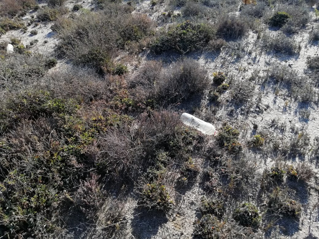 Parque Natural Punta Entinas-滨海罗克塔斯必去景点
