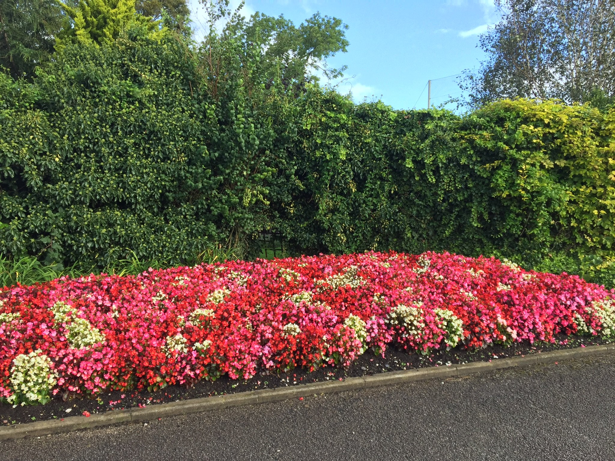 Garstang Country Hotel And Golf Club-浴室