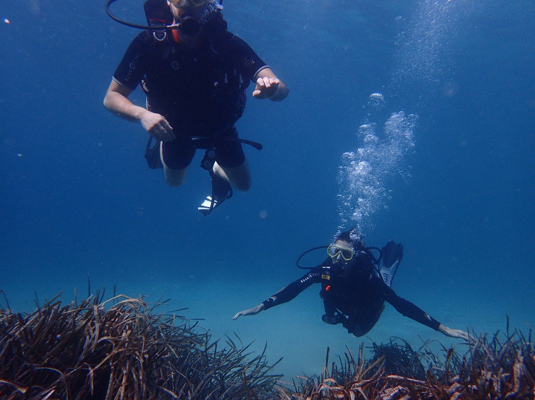 Acqua Life Dive Center-卡拉多尔必去景点