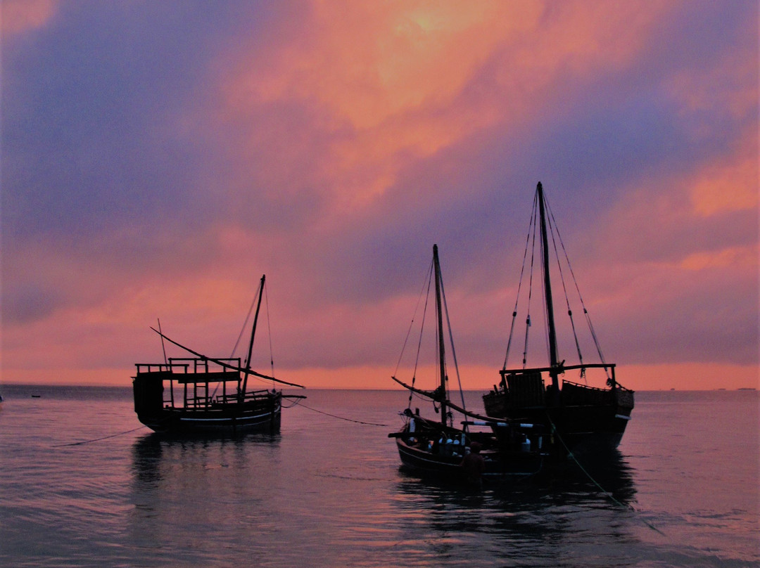 Spiaggia delle Tartarughe-瓦塔木必去景点