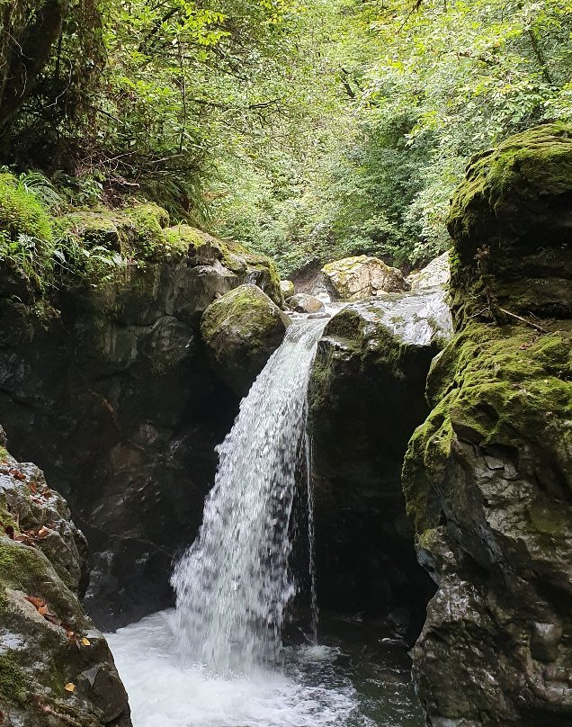 phoenix tours georgia / tbilisi-第比利斯必去景点