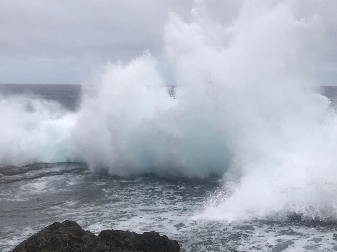 Tonga Travel Troupe-努库阿洛法必去景点