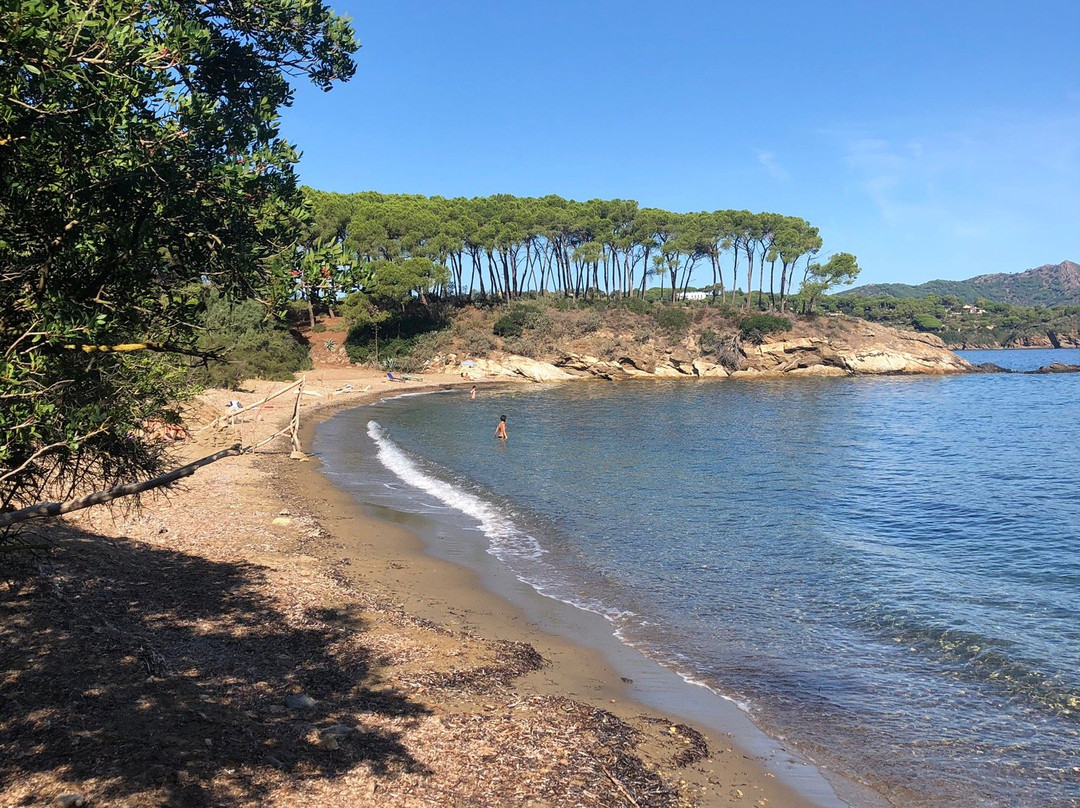 Spiaggia di Istia景点图片