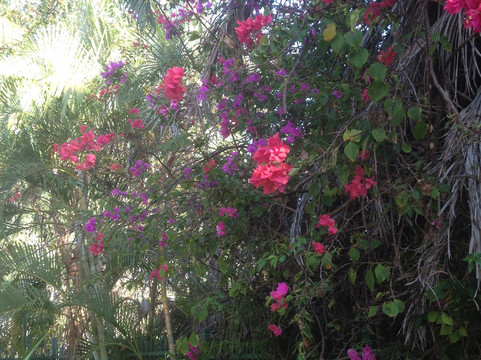 Blue Body Buddha Sanctuary-Cable Beach必去景点