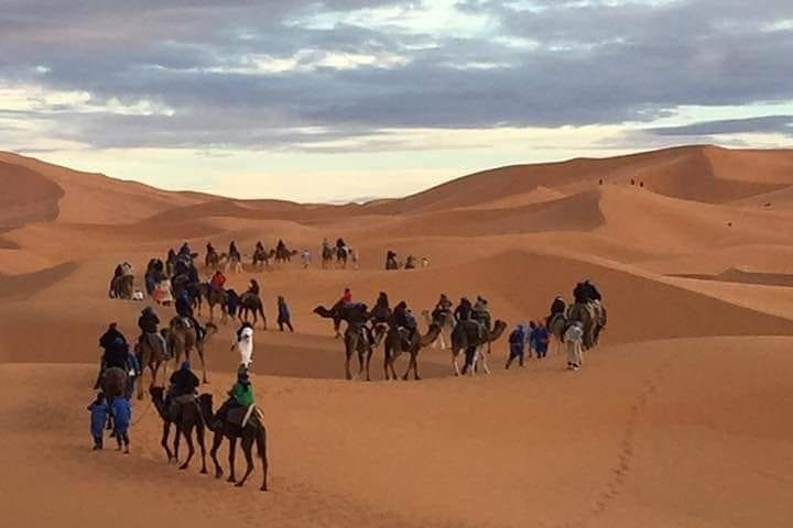 Morocco Visitors景点图片