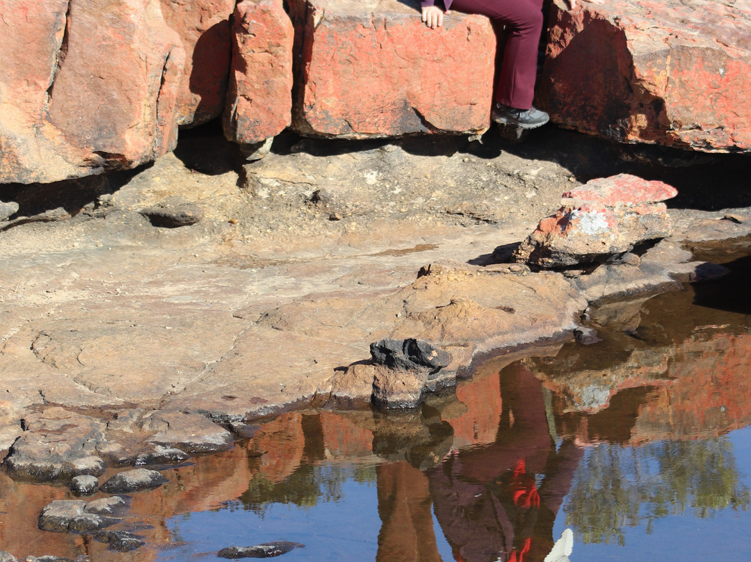 Nieuwoudtville Waterfall-Nieuwoudtville必去景点