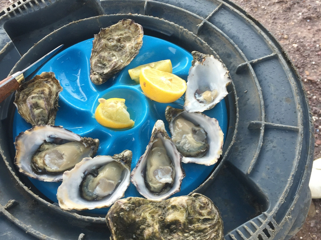 Kerry Premium Oysters景点图片