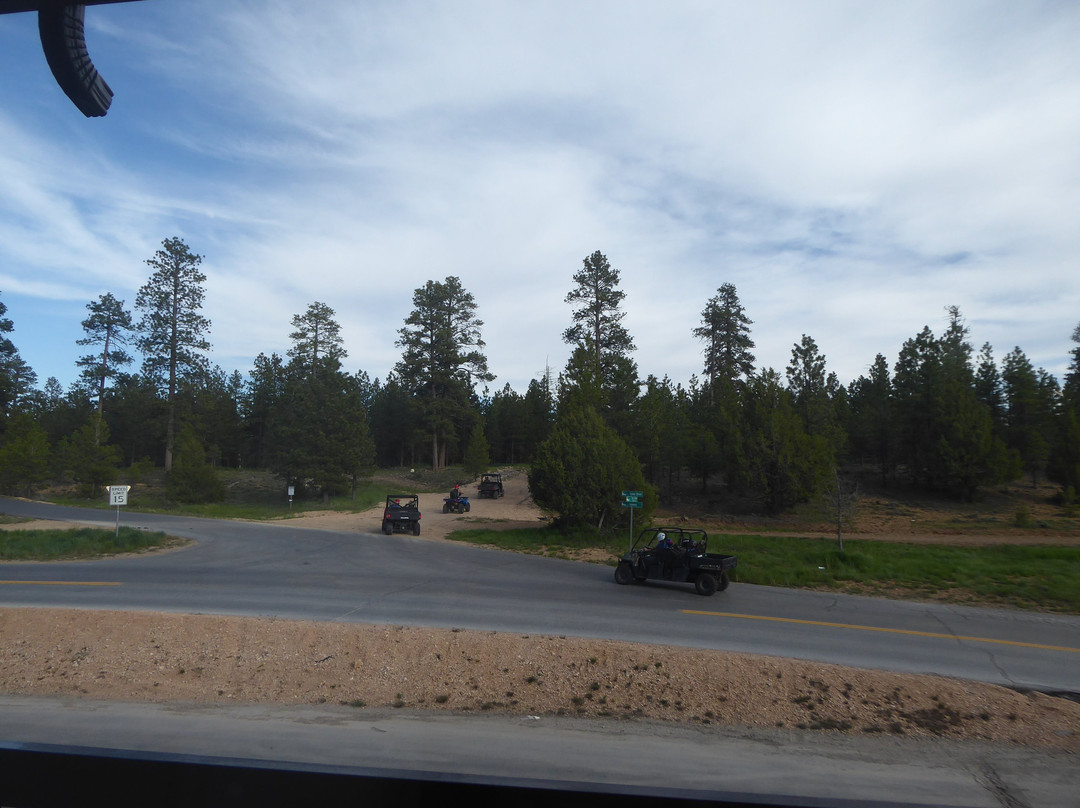 布莱斯维尤小屋酒店主图