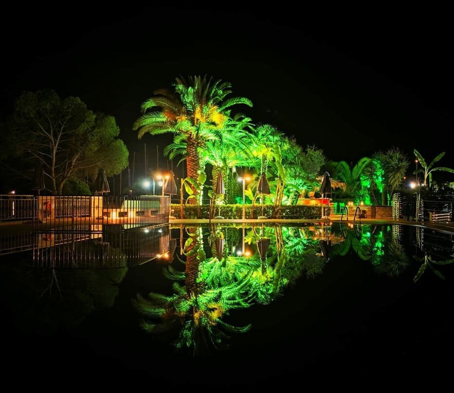 Tree Bar-Nidri必去景点