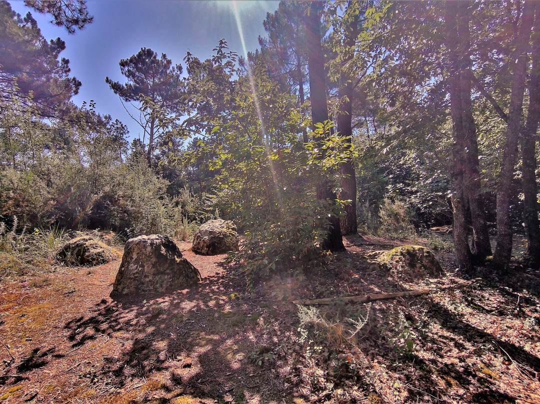 Polissoir a Beauregard, Caillou De Saint-Martin