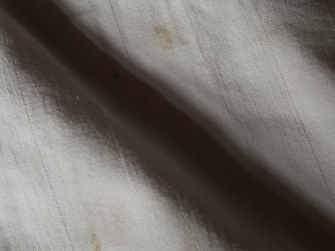 Lemo Hotel Serpong主图