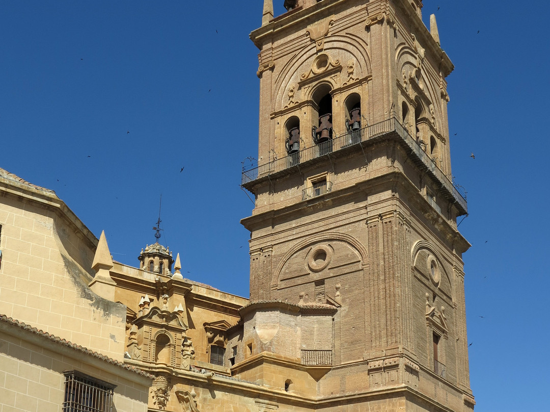 Guadix Cathedral景点图片