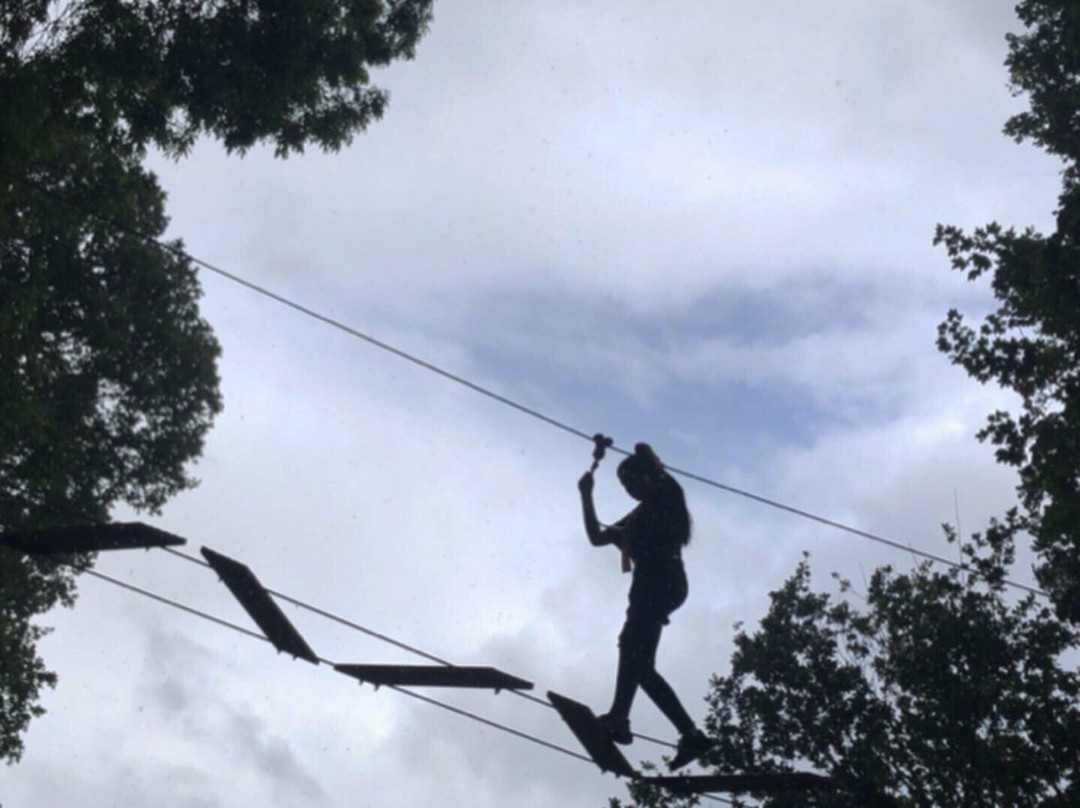 Holkham Ropes Course-Holkham必去景点