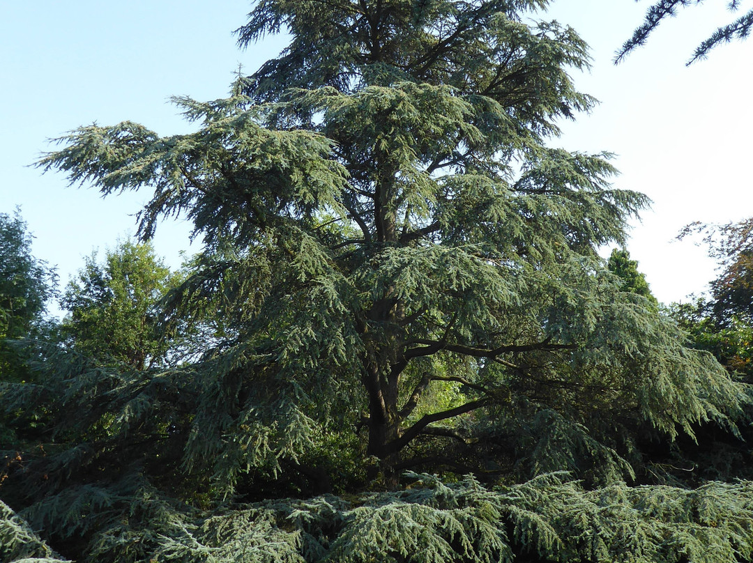 Ghyll Manor Hotel & Restaurant主图