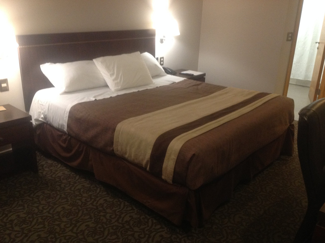 Hotel Diego de Almagro Iquique主图