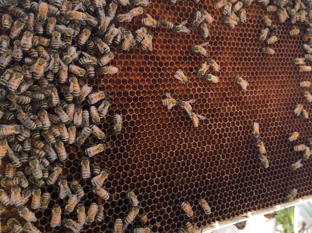 Les Trois Acres/Three Acres-Dunham必去景点