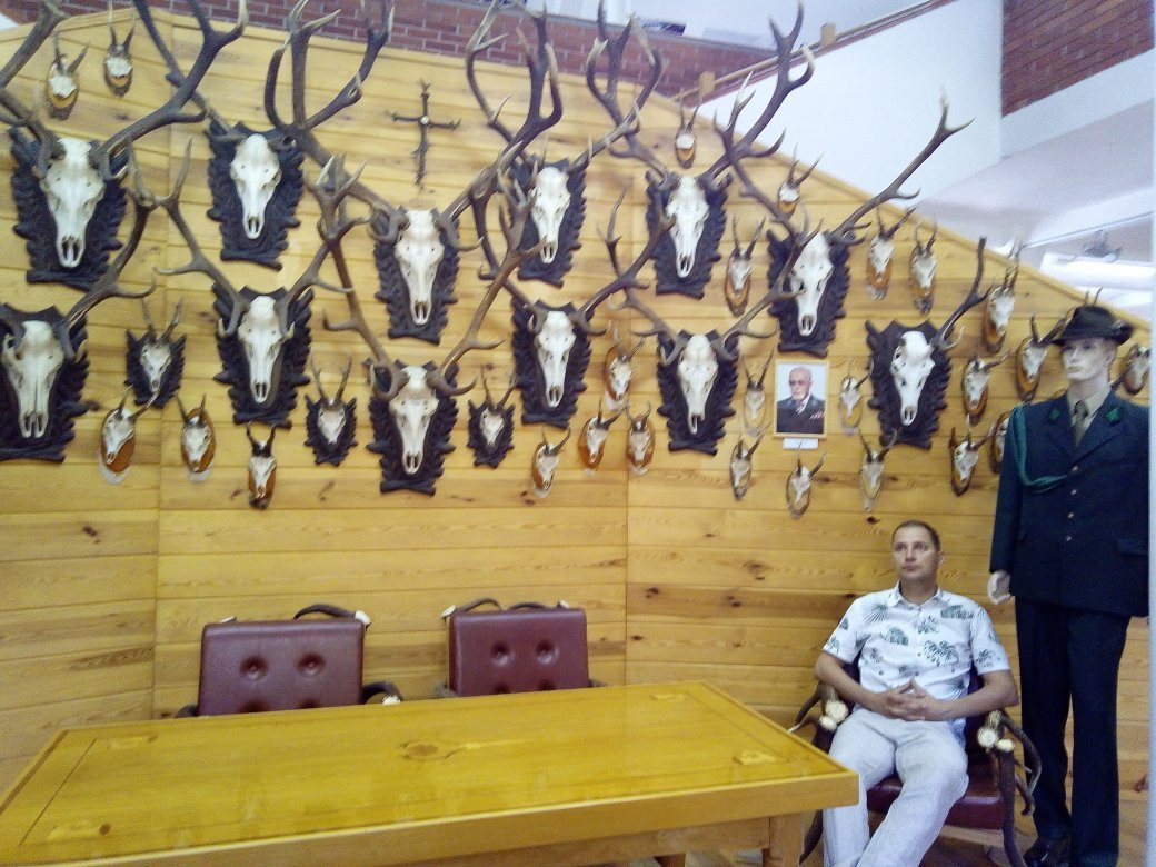 Forestry Museum景点图片