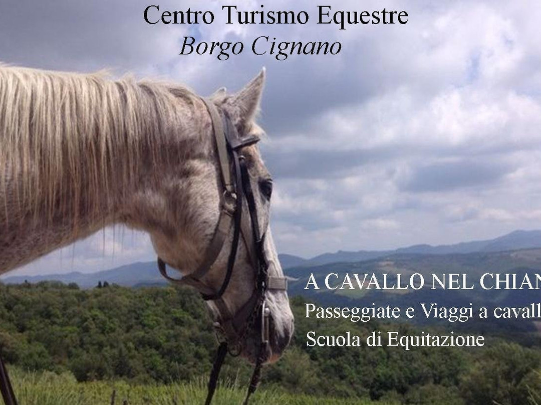Centro Turismo Equestre Borgo Cignano景点图片