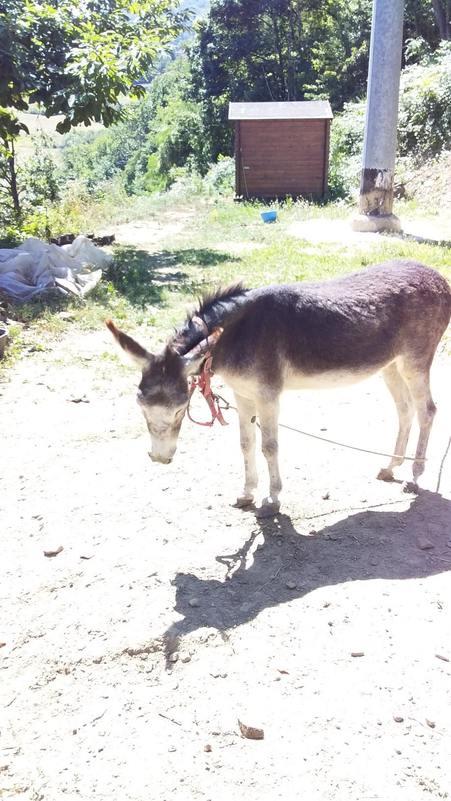 Agriturismo Ca' de' Magnani-官方