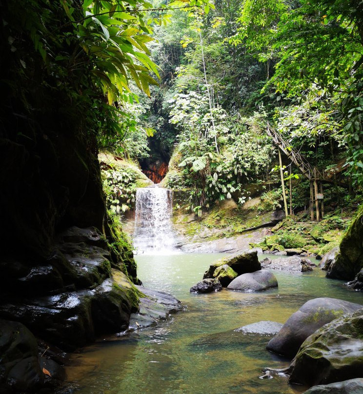 Cascadas de Pishurayacu-Tarapoto必去景点