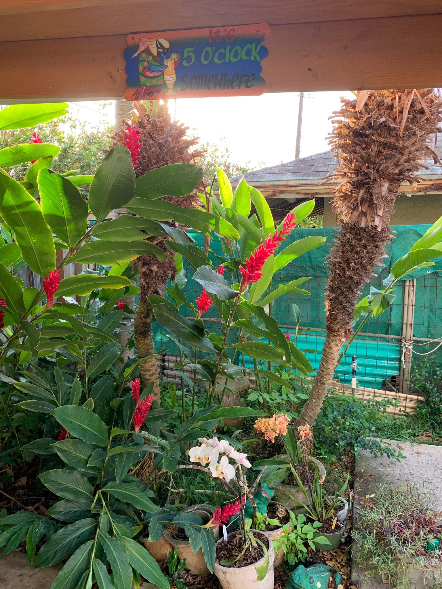 Wailuku Guesthouse-官方