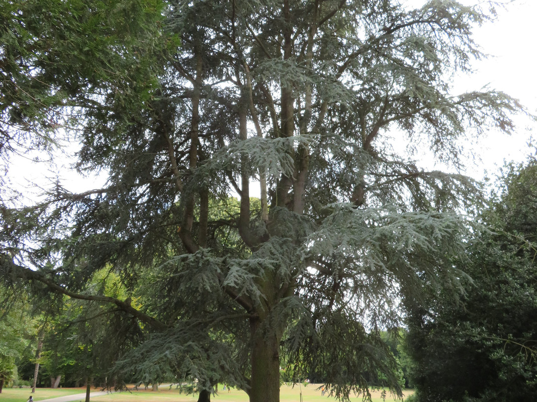 Parc de la Briantais景点图片