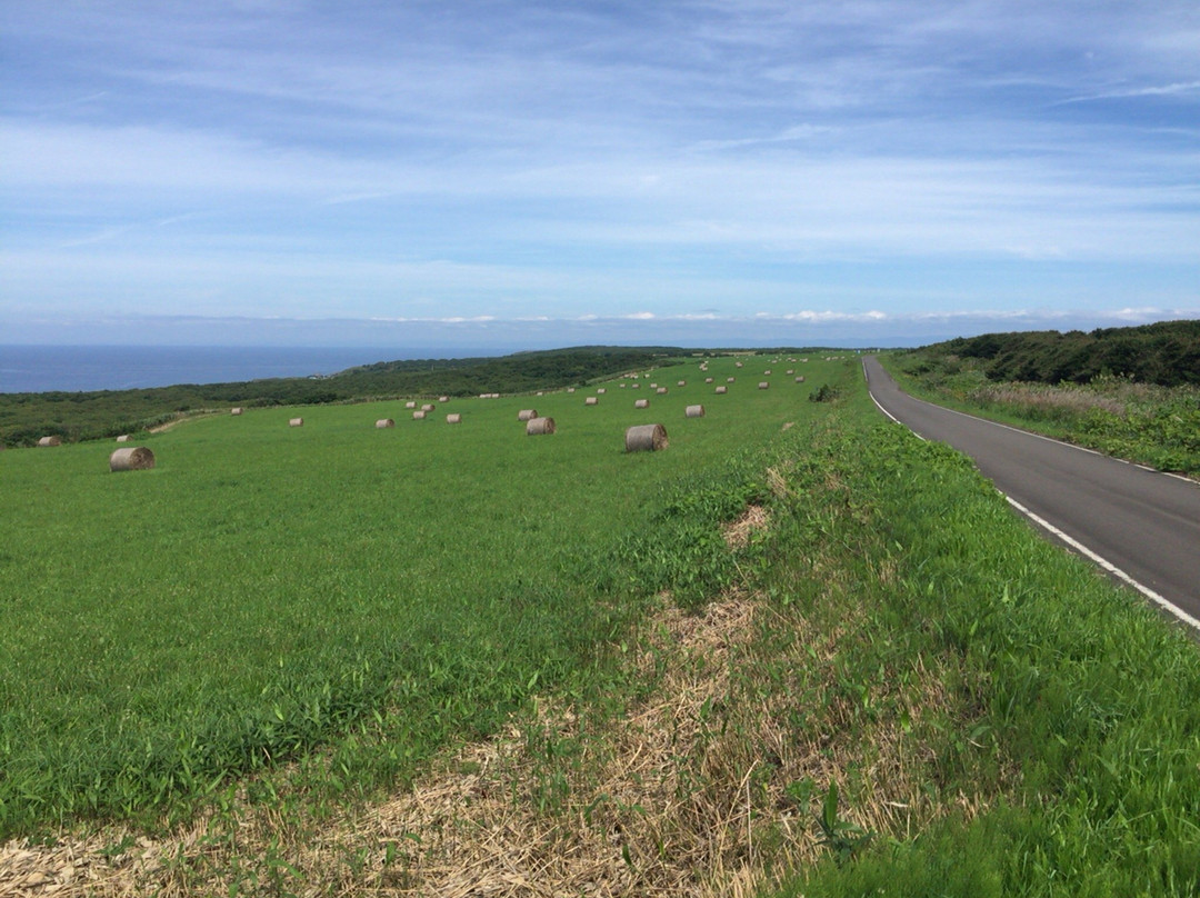 烧尻岛-羽幌町必去景点