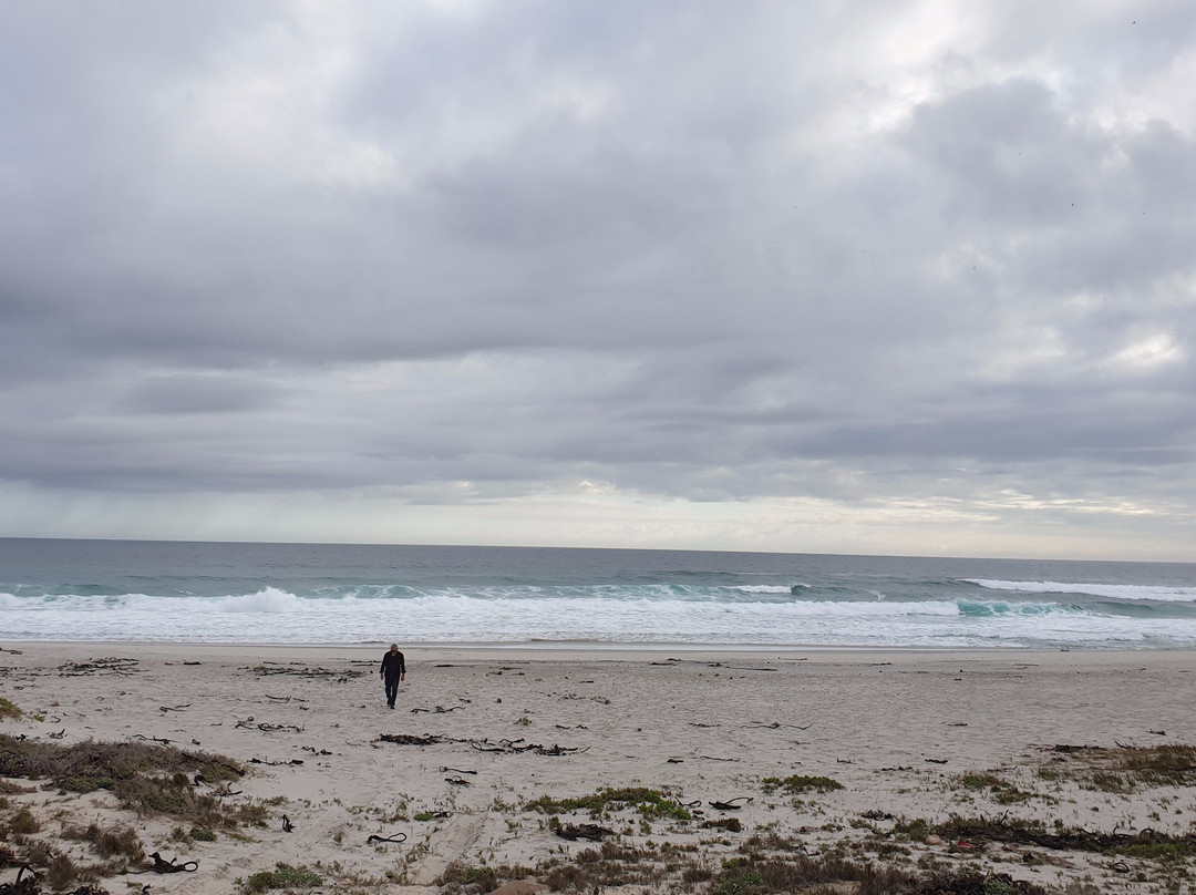 African Invite-斯泰伦博斯必去景点