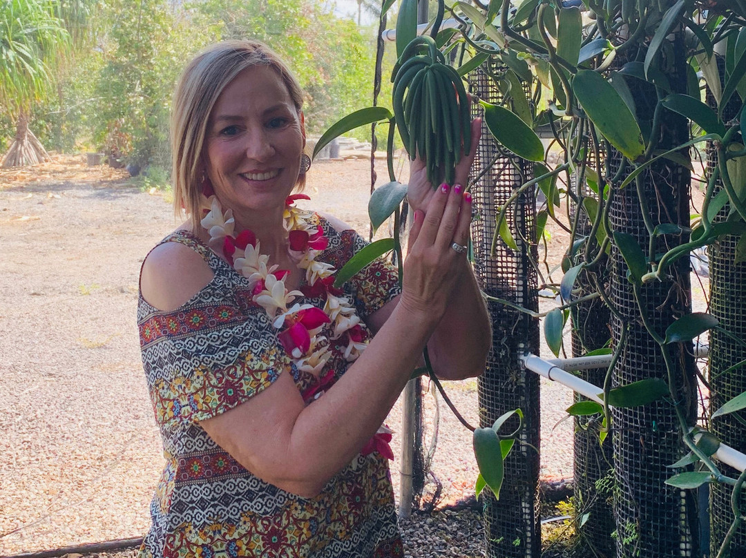 The Vanillerie-凯鲁瓦-柯纳必去景点