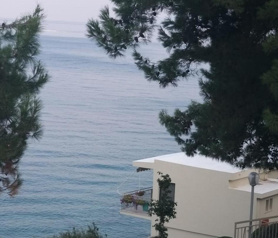 Tosca Beach Hotel主图