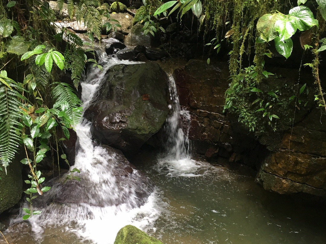 Yantzaza-Zamora必去景点