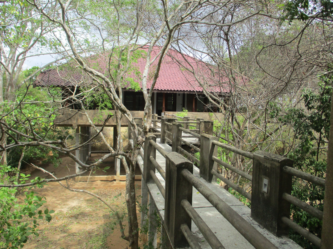 森林岩石花园度假村主图