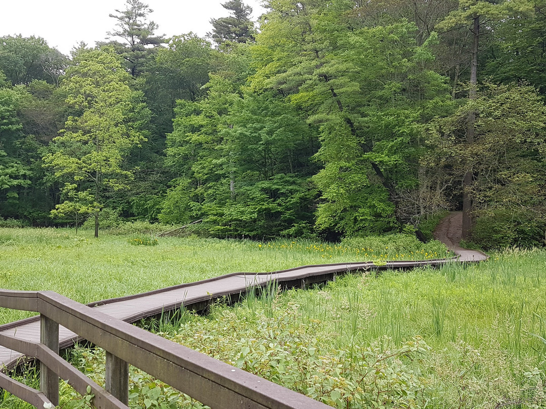 Springwater Conservation Area-Aylmer必去景点