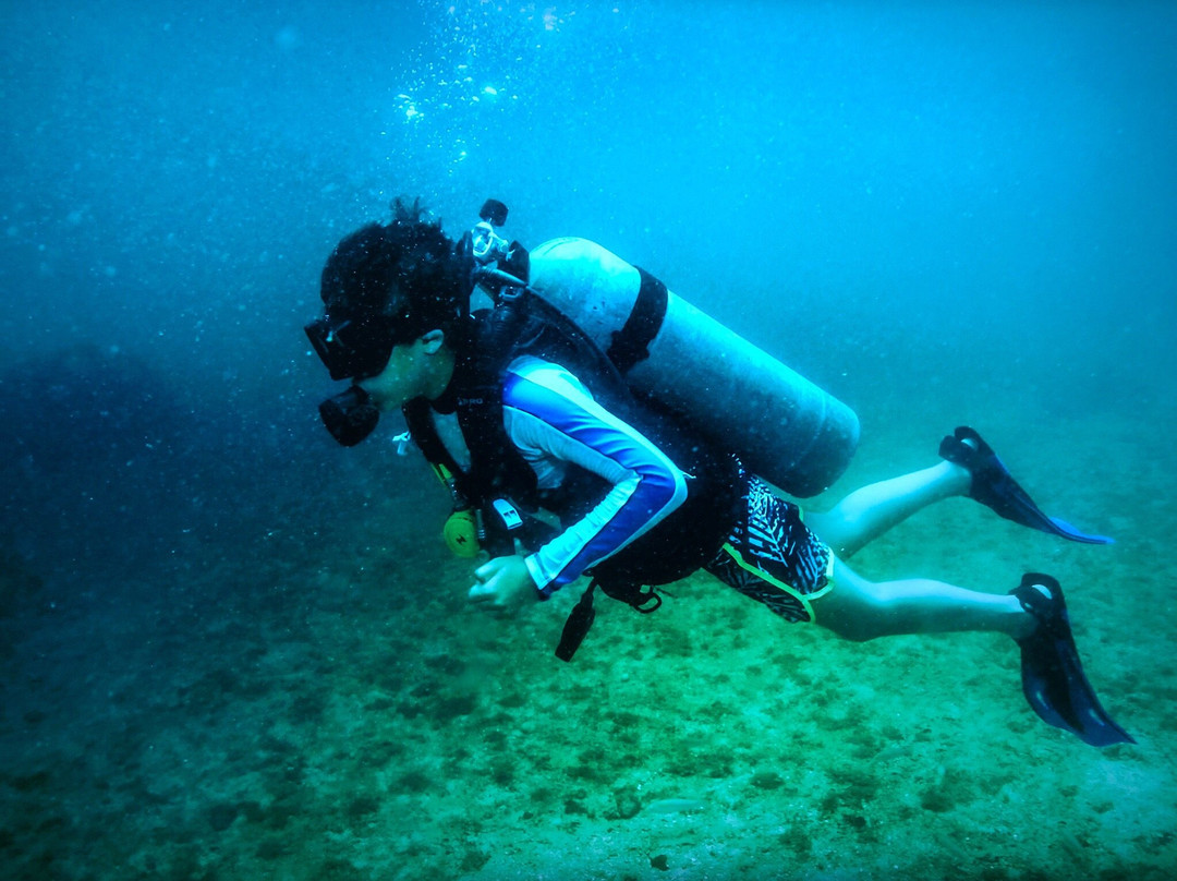 Scuba Diving Adventures景点图片