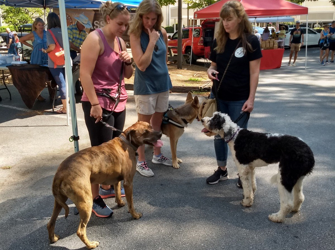 Peachtree City Farmers Market-桃树市必去景点