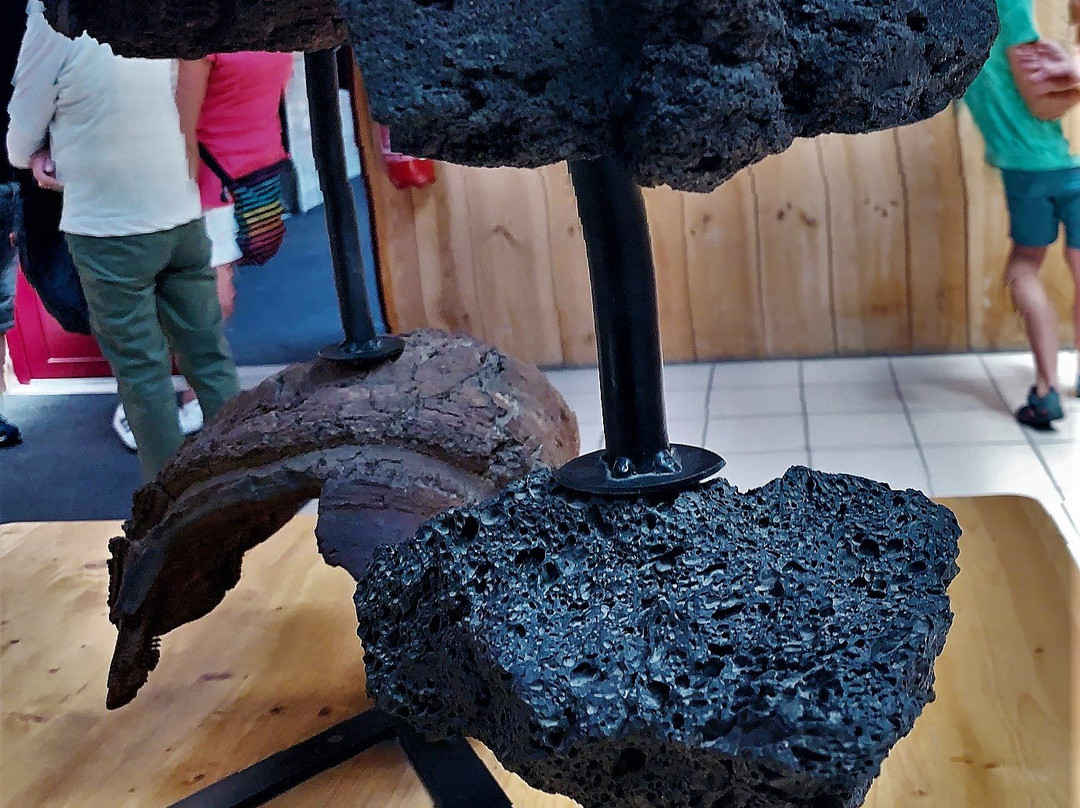 Volcan De Lemptégy景点图片