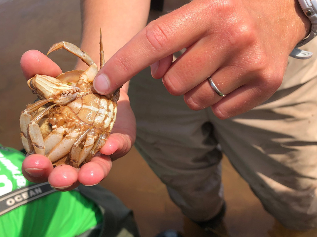 Basin Head - Beyond the Beach-Souris必去景点
