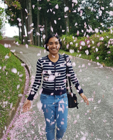 Mt.Tomisu Park-大洲市必去景点