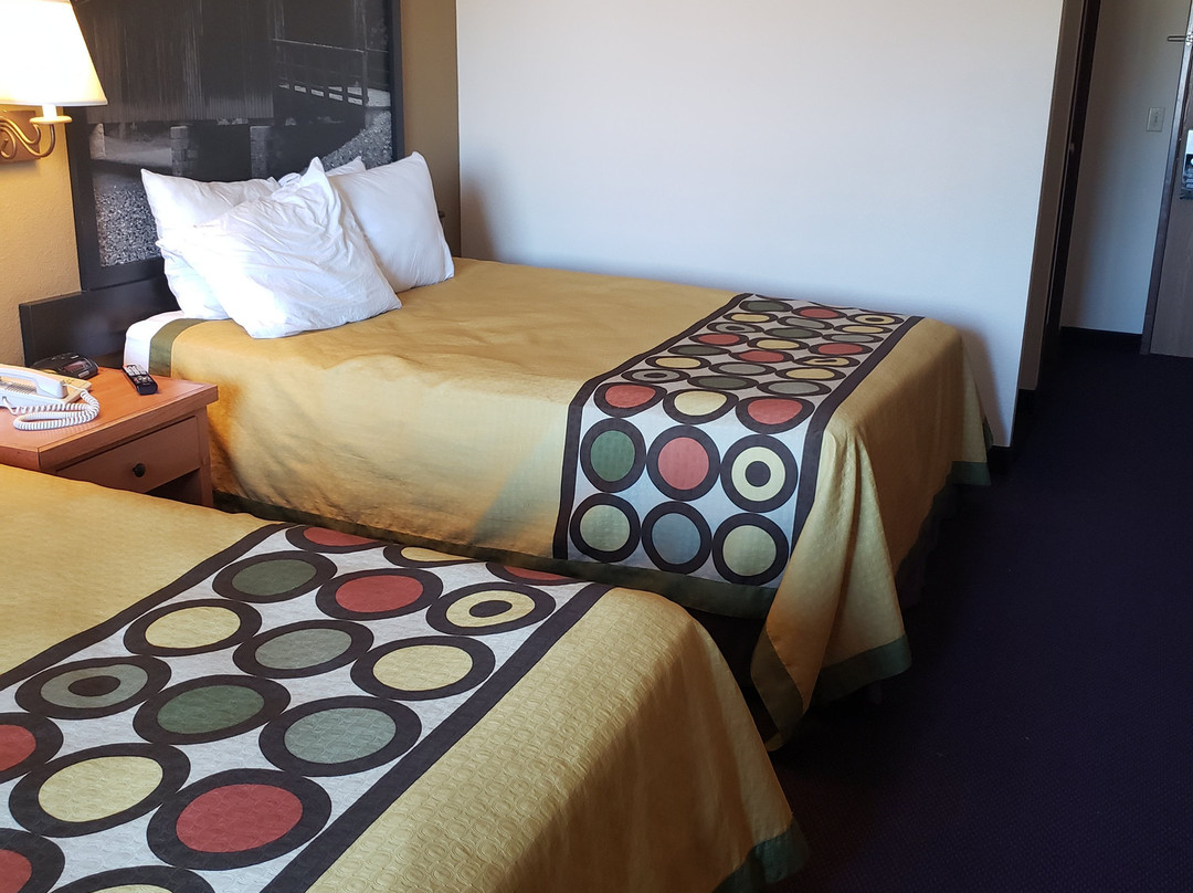 Super 8 by Wyndham Columbia East主图