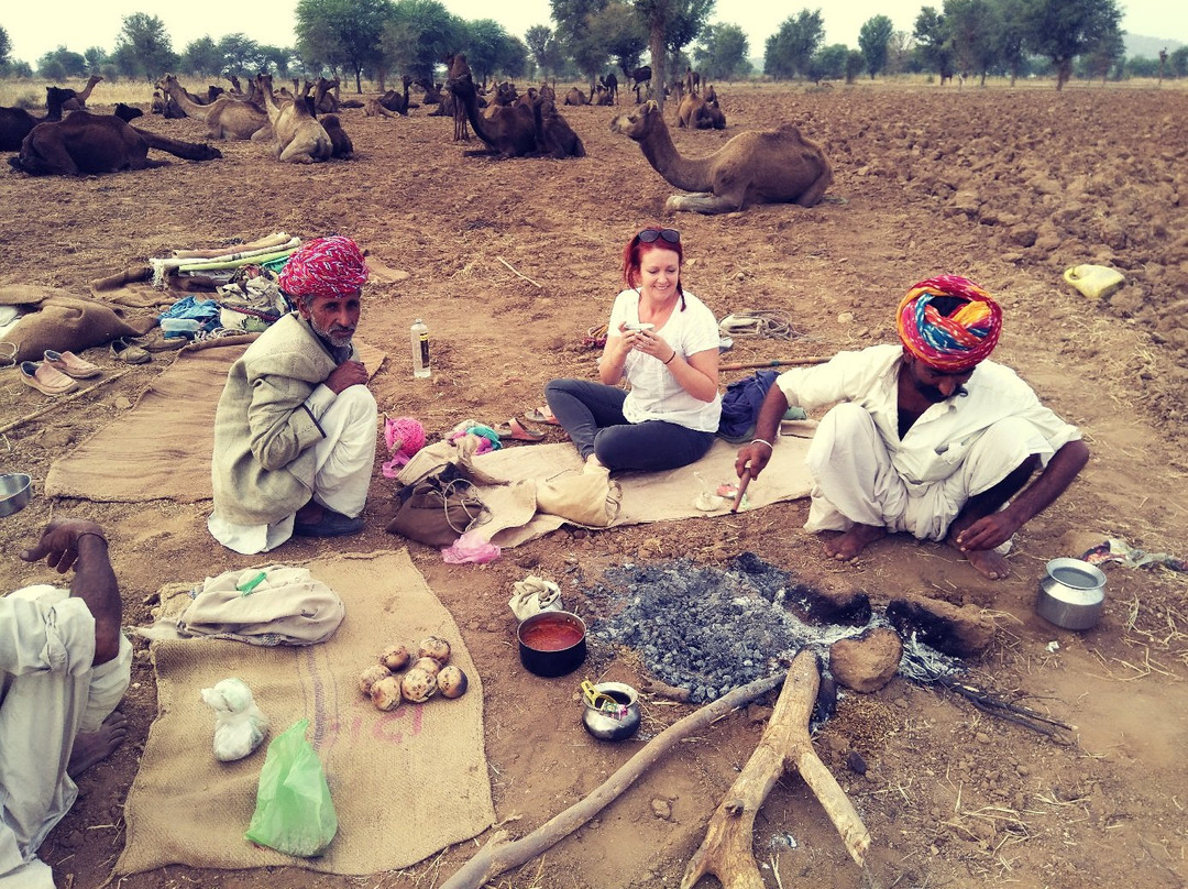 Camel Charisma-Sadri必去景点