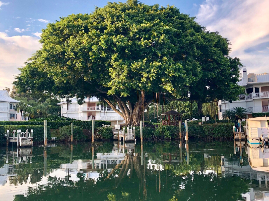 Gulf Island Tours-恩格尔伍德必去景点