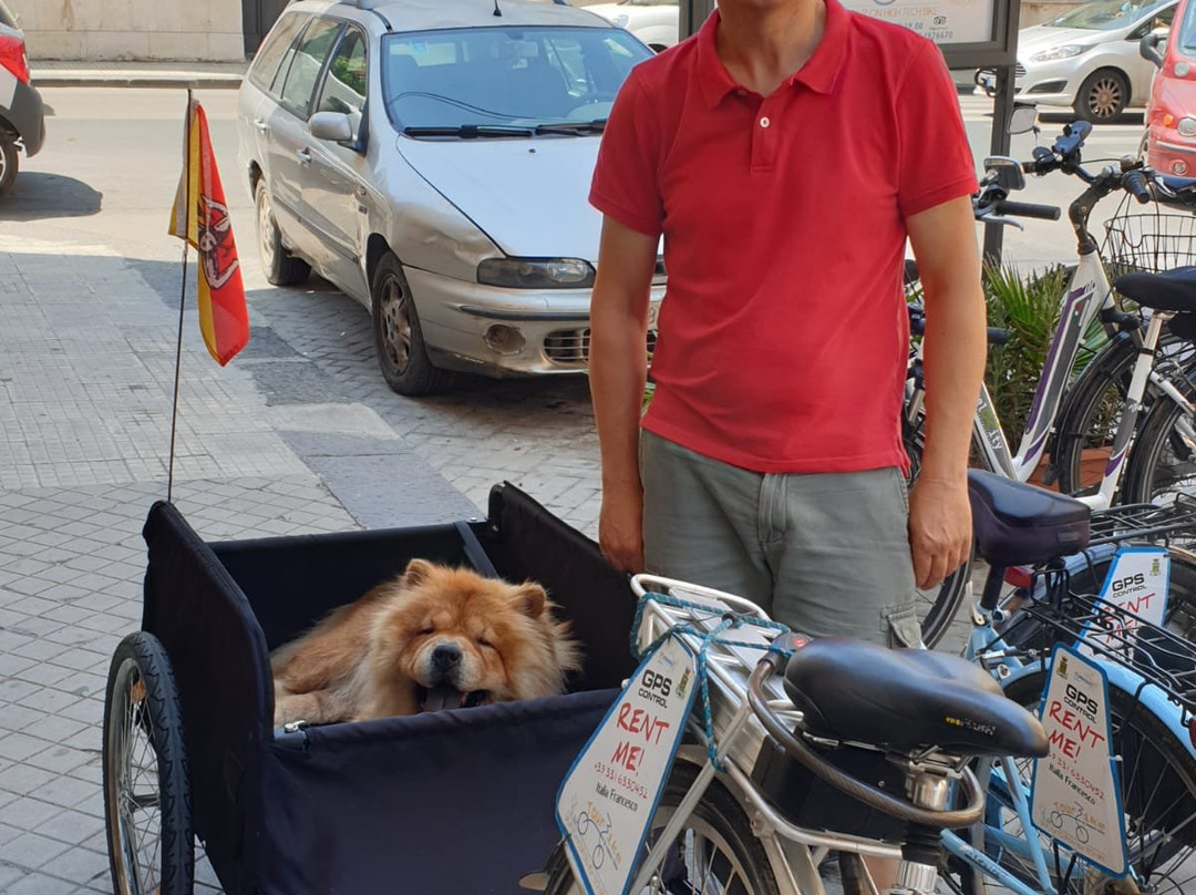 Siracusa Tour Bike-锡拉库扎必去景点