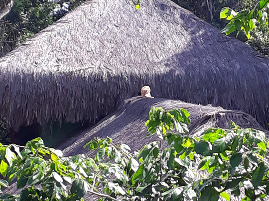 Pousada Vila Araticum Praia主图